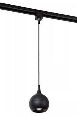 Flora Pendant on Track Light System