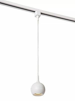 Flora Pendant on Track Light System