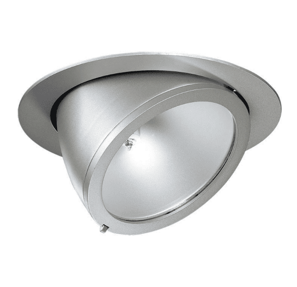 Silver Adjustable Spotlight